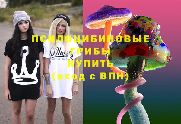 шишки Богданович